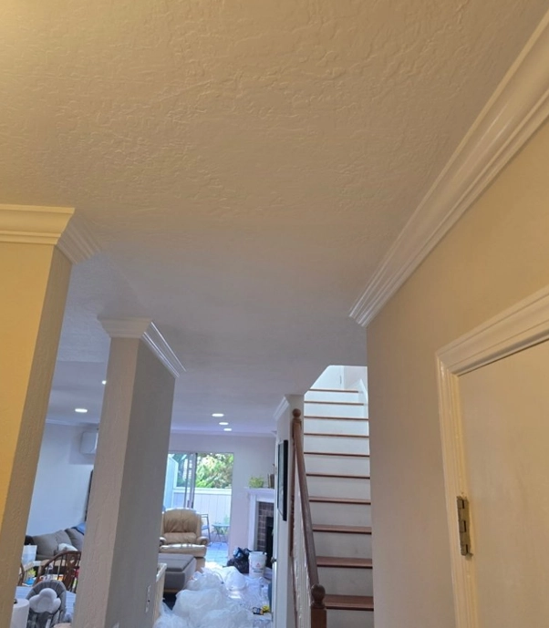 Bright Living Room with Freshly Painted Walls and White Crown Molding